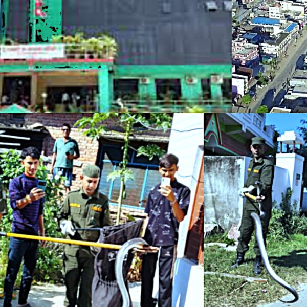 सर्प देखियो ? फोन गर्नुस्, ५ मिनेटमै आइपुग्छ नगर प्रहरी !